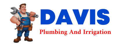 Trusted plumber in LONG EDDY